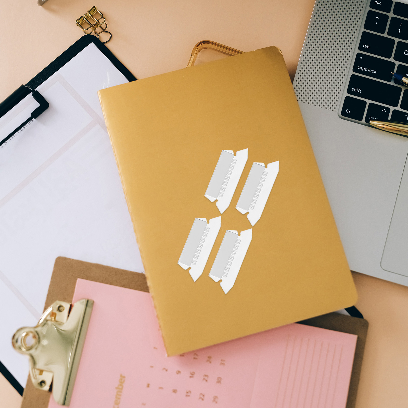 100Pcs Hanging File Folder Lab - File Folder Hanging 评论和价格
